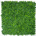 1004628_p_4.png