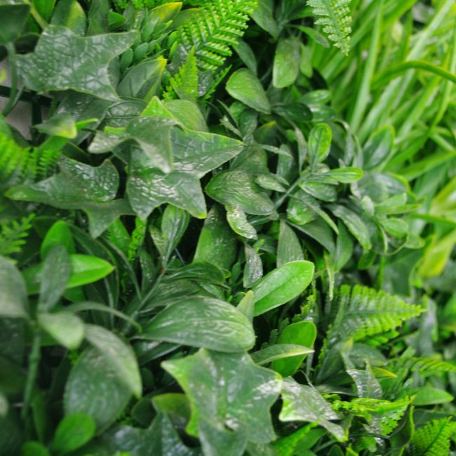 1005798_c_4.jpg