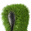 AR-GRASS-SILK-30-205-05.jpg