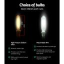 GL-HID-MA-ECO-BAT-TW-05-1.jpg
