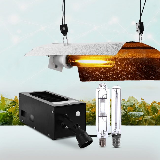 GL-HID-MA-ECO-BAT-TW-99-1.jpg