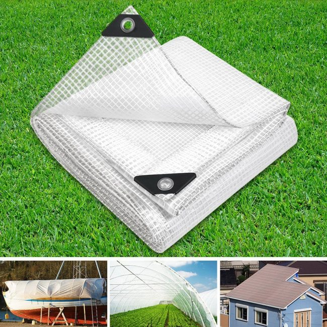 TARP-CLEAR-4X7-99.jpg