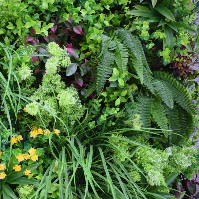 country_fern_bespoke_vertical_garden_green_wall_1_1.jpg