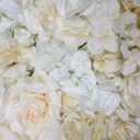 cream_rose_floral.jpg