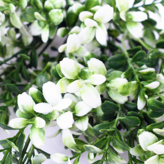 dlvs-102_32cm_artificial_money_leaf_white_gree_wall_plant_details_2_1_1__3.jpg
