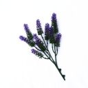 dlvs-111_26cm_artificial_small_lavender_wall_plant_details_1_2_1__3.jpg