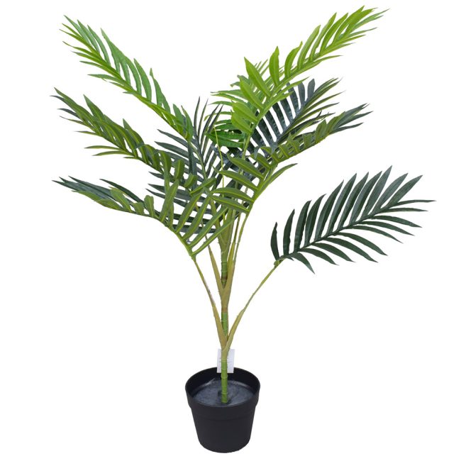 mountain_palm_100cm.jpg