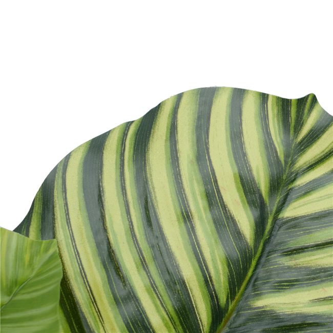 pond_leaf2_4.jpg