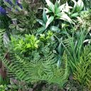 purple_lavender_field_vertical_garden_green_wall_uv_resistant_90cm_x_90cm_1_.jpg