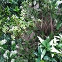 white_lavender_field_vertical_garden_green_wall_uv_resistant_90cm_x_90cm.jpg
