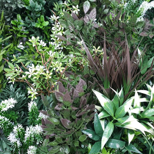 white_lavender_field_vertical_garden_green_wall_uv_resistant_90cm_x_90cm.jpg